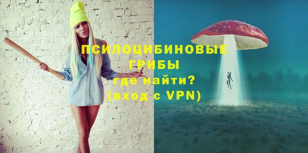 PSILOCYBIN Алексеевка