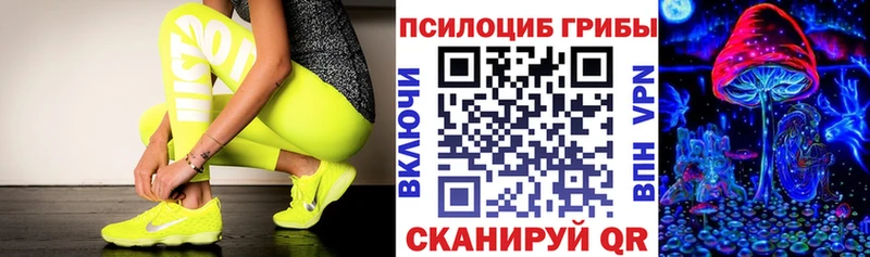 сколько стоит  Сураж  Псилоцибиновые грибы мицелий 